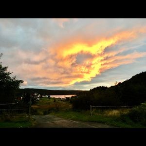 Meet your Posher, Mary-lynn